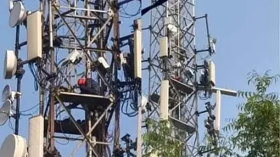Jharkhand youth climbs 200-foot mobile tower demanding marriage with girlfriend