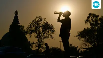 Delhi melts on hottest day of season at 43.4°C; no relief in sight for coming days