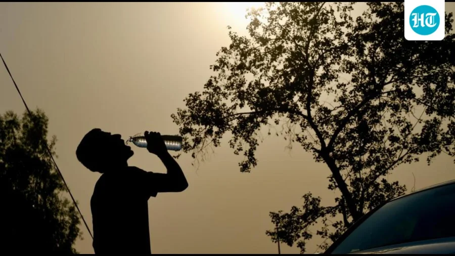 Delhi records 2nd warm night this season, yellow alert remains for intense heat
