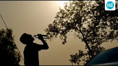 Delhi records 2nd warm night this season, yellow alert remains for intense heat