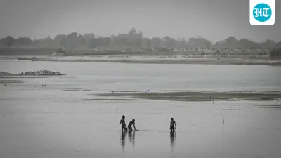 Delhi's Yamuna crisis worsens: At Wazirabad, river runs so low that ‘even kids can cross it’