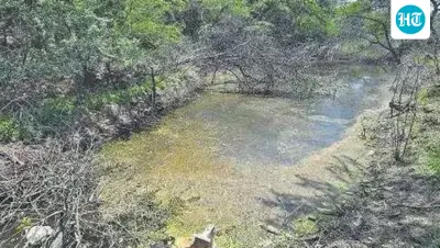 Green tribunal directs Delhi pollution body to verify water quality at Dhaula Kuan lake