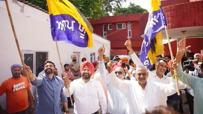 Punjab civic polls: AAP wins over 690 wards, counting of votes underway