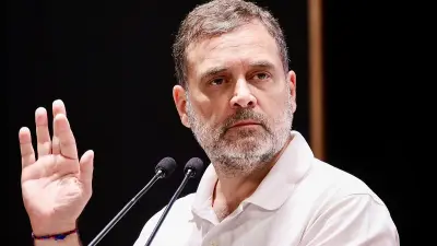 ‘Anti-Adivasi mindset’: Rahul Gandhi attacks BJP-RSS over tribal rights