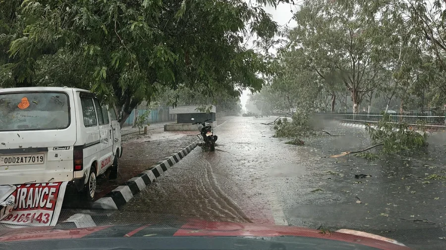 Deadly nor’wester batters Bhubaneswar, uproots 200 trees