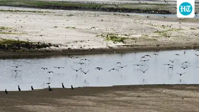 Why Delhi's water crisis keeps returning to the same chokepoint