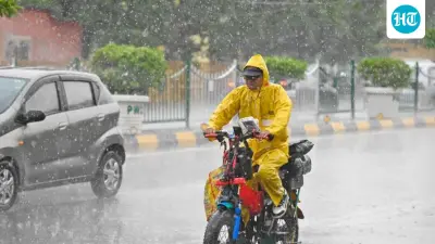 Overnight storm, rainfall brings relief in Delhi as AQI improves to ‘satisfactory’