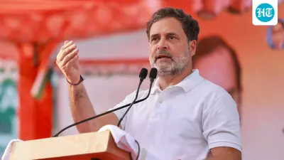 Didn't lose in 2024, already won 2029: Rahul Gandhi confident of INDIA bloc win