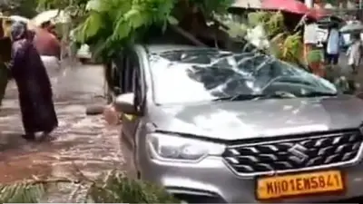 IMD issues rain alerts for 31 Maharashtra districts as monsoon intensifies
