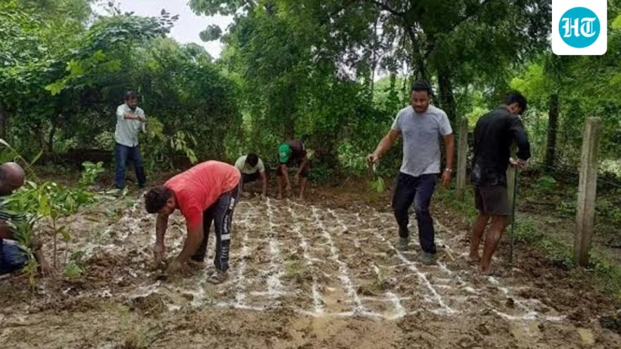 150-acre reclaimed fly ash site in Aravallis to get Miyawaki forest, HPGCL tells NGT