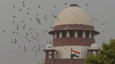 SC freezes Parsvnath Developers’ bank accounts in Gurugram housing case
