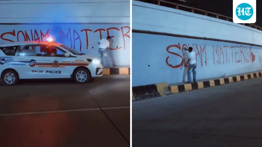 ‘Sonam Wangchuk matters’: Artist draws huge graffiti on Delhi flyover wall. Watch