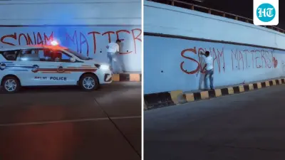 ‘Sonam Wangchuk matters’: Artist draws huge graffiti on Delhi flyover wall. Watch
