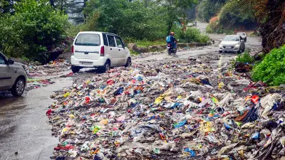 Bombay HC raps littering culture, asks why Indians only follow rules abroad
