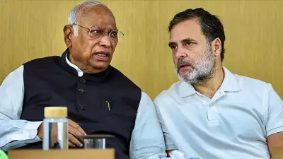 Rahul: 'Match-fixing' going on through EVM, voters' list; 'resistance' will continue